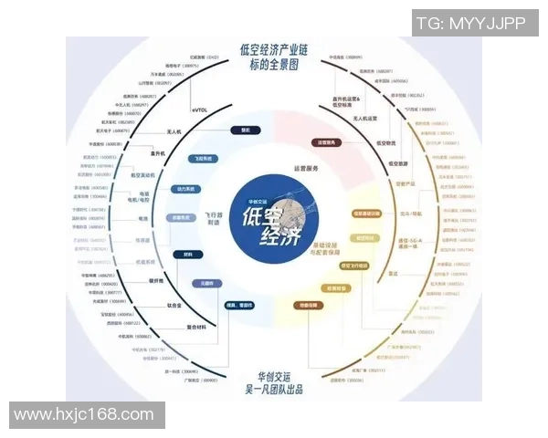 代怀博的崛起与挑战探讨新兴行业中的机遇与风险分析