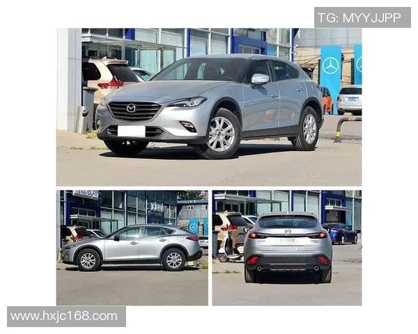 马卡拉与塔奇拉激战正酣谁能在这场对决中笑到最后