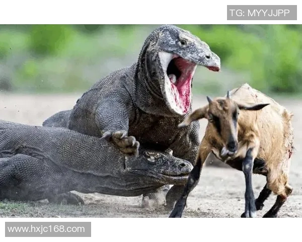 火花与风暴的较量究竟谁更强大探讨自然力量的对比与影响 火花与风暴的较量究竟谁更强大探讨自然力量的对比与影响